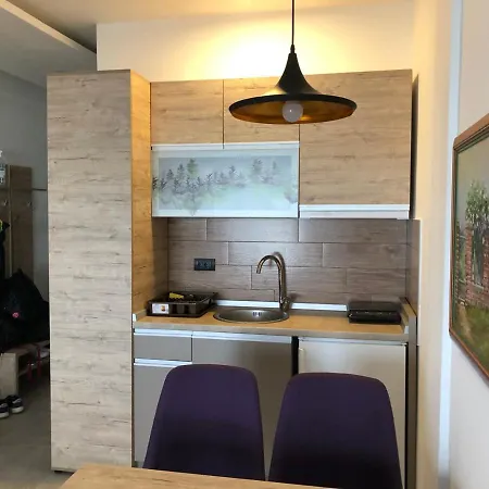 P13 קופאוניק