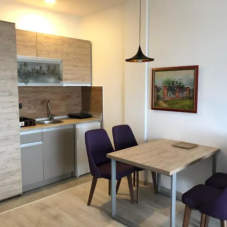 Apartament P13
