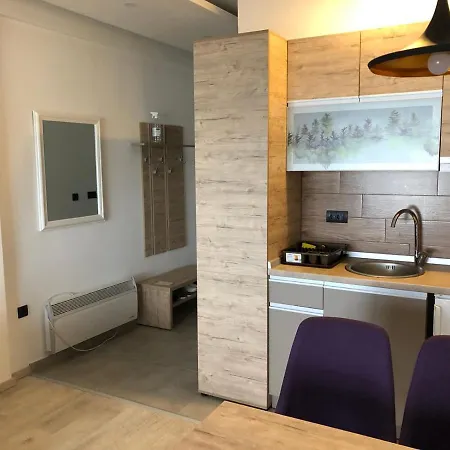 דירה P13 קופאוניק