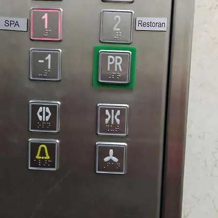 P13 * Kopaonik