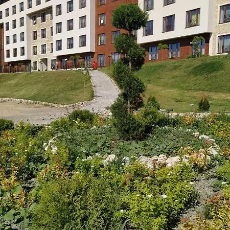 P13 קופאוניק