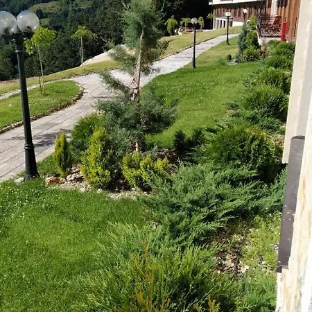 P13 Apartament